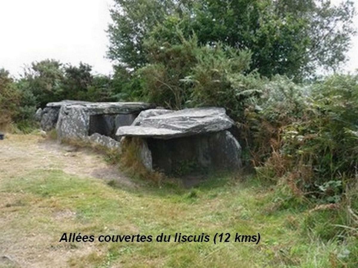 Gite des 4 vents Saint-Mayeux Extérieur photo